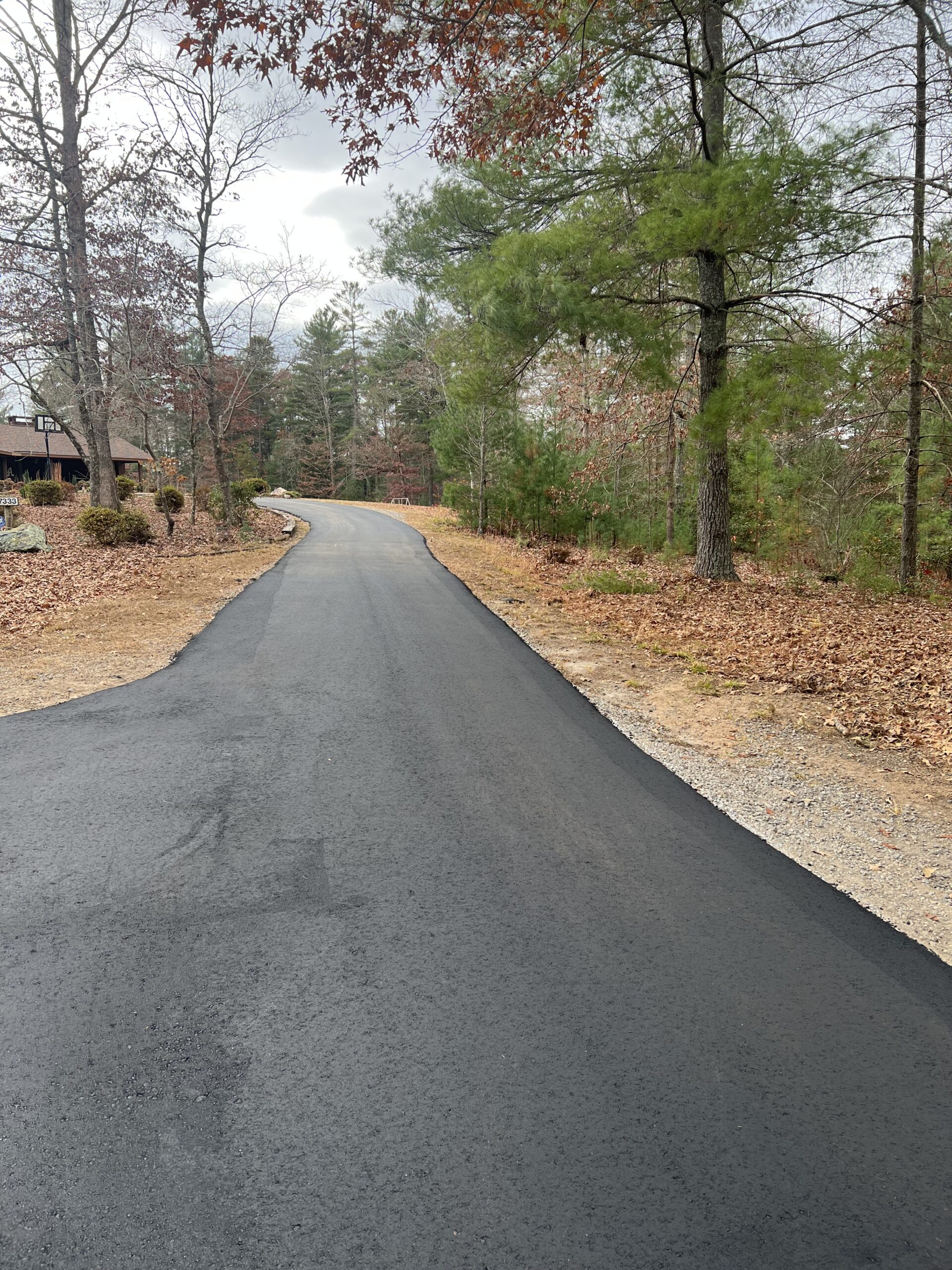 A newly paved asphalt road curves through a wooded area with trees and dry leaves on both sides under a cloudy sky.